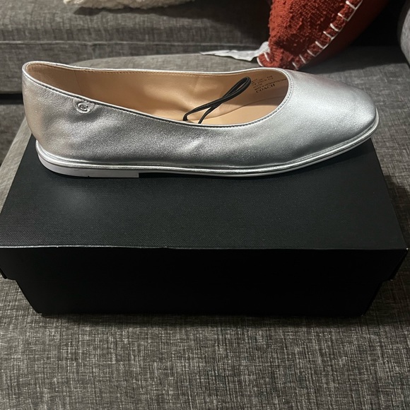 NWT COACH Chrome ballerina flats ! Size US 11
EMILIA METALLIC LEATHER - Picture 4 of 6